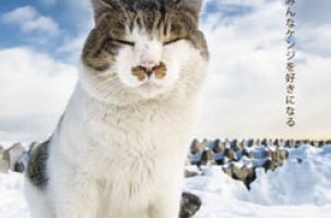 小樽で生きる猫たちを通して、小樽を感じる 土肥美帆写真展 北に生きる猫