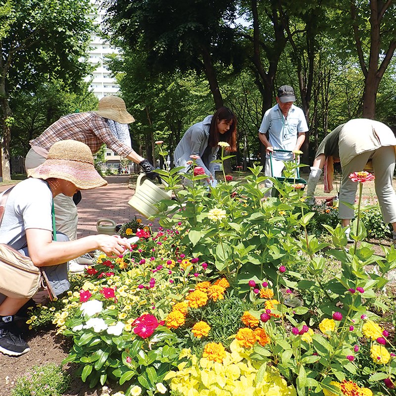 さっぽろ花と緑のネットワーク事務局