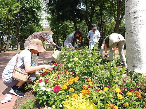 街を花と緑でいっぱいに！タウンガーデナー募集中