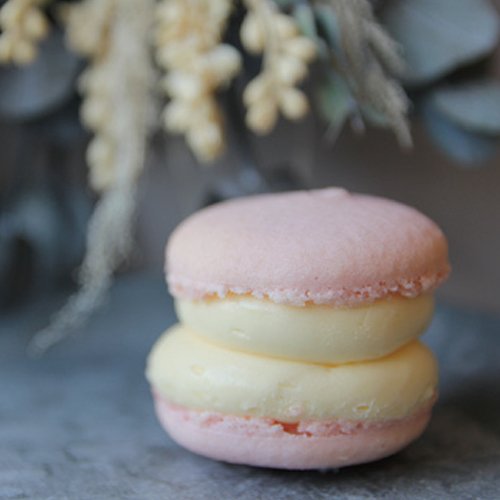 chubby macaron sapporo