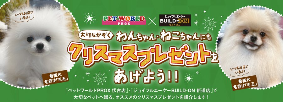 大切なかぞく わんちゃん・ねこちゃんにもクリスマスプレゼントをあげよう！【ふりっぱー12月号掲載中】