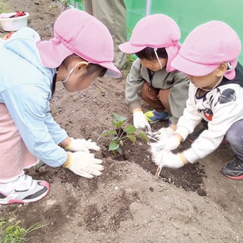 認定こども園 にしの