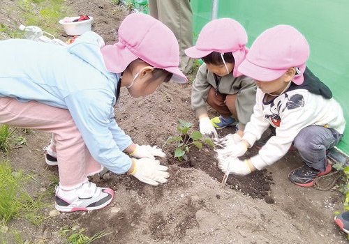 自然の中で遊びを中心とした認定こども園