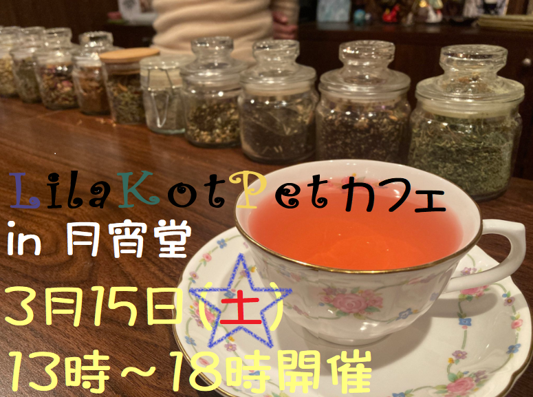 LilaKotPet(りらこっぺ)カフェ in 月宵堂