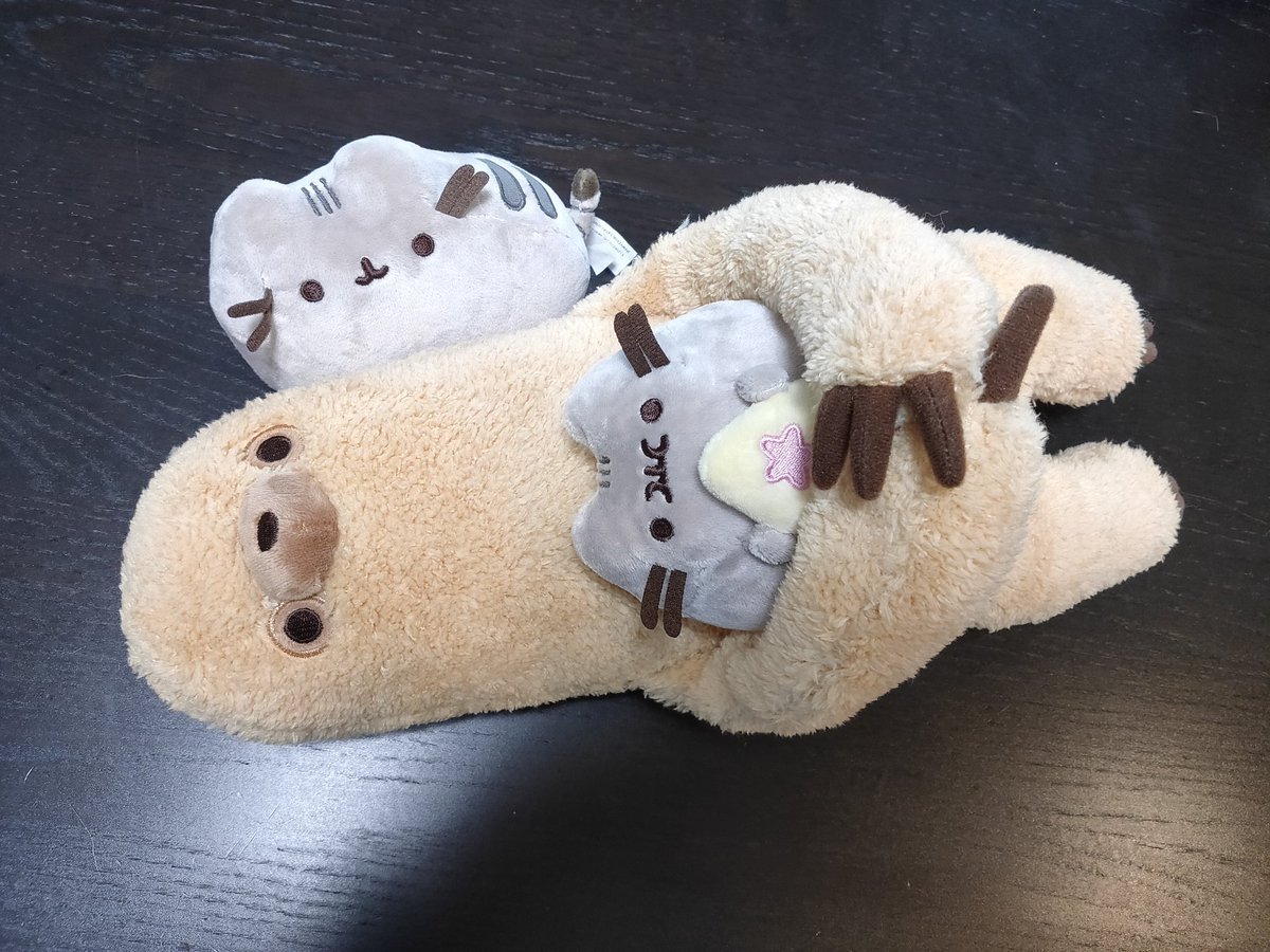 店主が好きなナマケモノ。すーぱーれいじい。#pusheen [グルグルカリー【Twitter】]