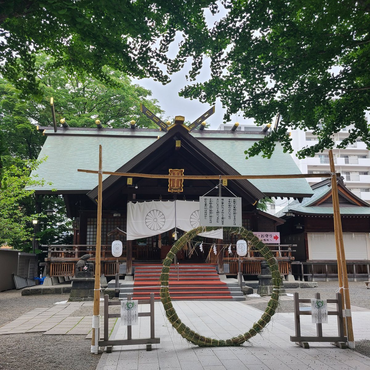 本日6月30日は夏越の大祓(なごしのおおはらえ)🌿茅(ちがや)で作った輪を身に着け疫病から逃れたという古事に由来する茅の輪をくぐり🍀知.... [小林豊子きもの学院【Twitter】]