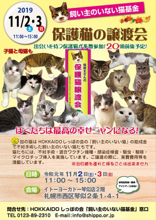 #ふりっぱーイベント情報最近の投稿からご紹介します第7回「飼い主のいない猫基金」保護猫譲渡会 11/2(土)・3(日)、イトーヨーカドー琴似... [ふりっぱー公式【Twitter】]