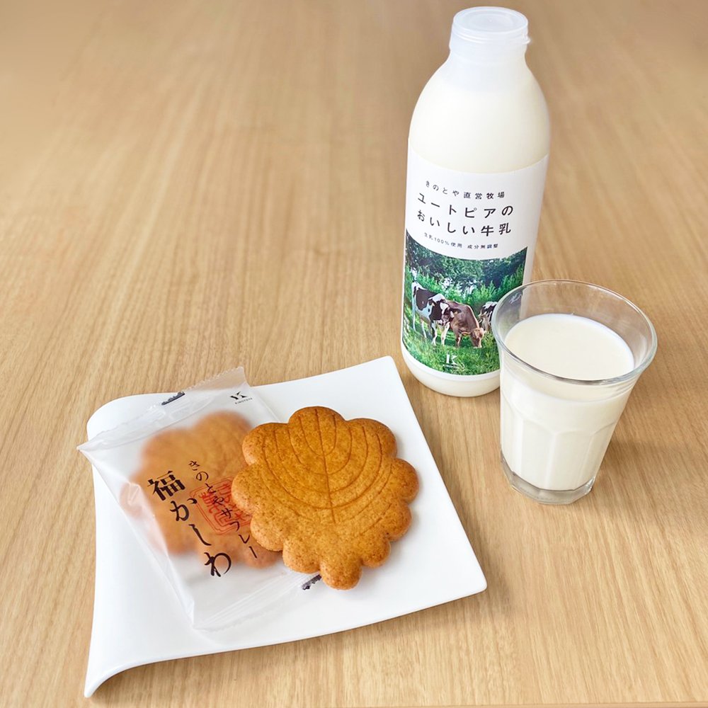 「きのとやサブレー福かしわ＆ユートピアのおいしい牛乳」🐄柏の葉っぱをかたどった、バターが香る大きなサブレーは、サクッとした食... [洋菓子きのとや【Twitter】]