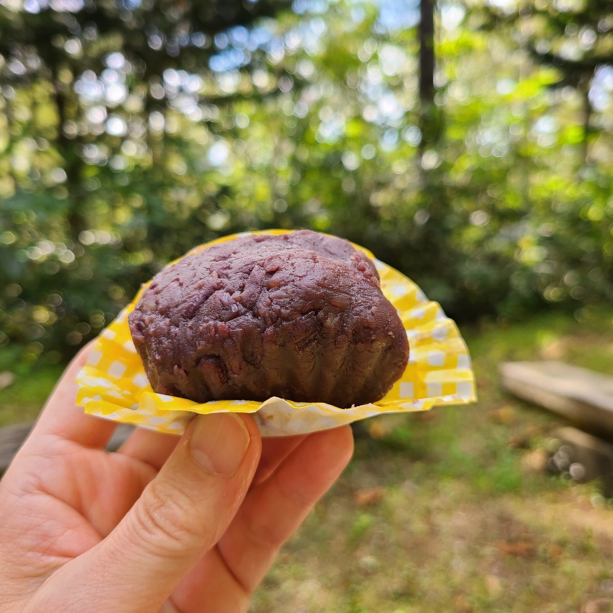 本日は秋分の日🎌昼夜の長さがほぼ同じになり今日を境に日が短くなり秋が深まります🌅彼岸の中日でもあり🌾自然の恵みと御先祖様に感謝を... [小林豊子きもの学院【Twitter】]