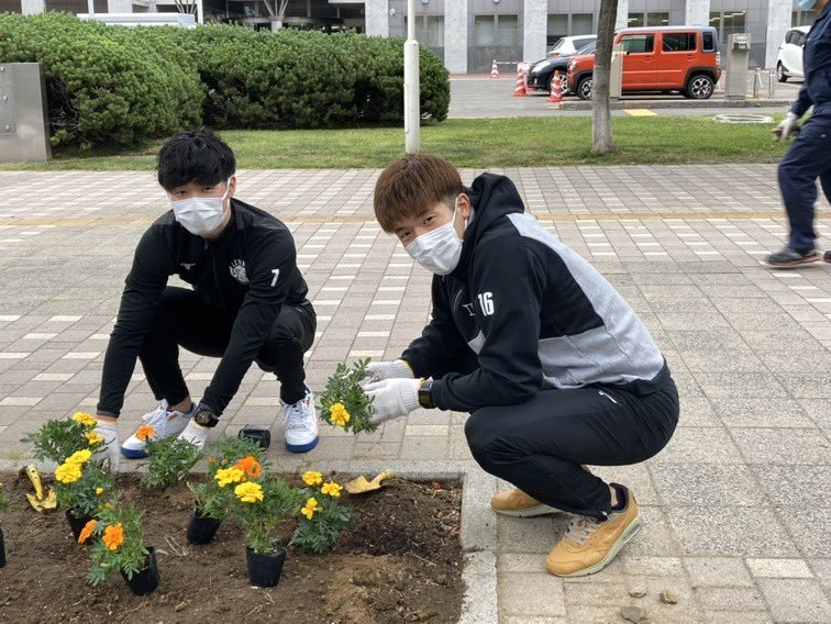 #中野司 選手と #内田旦人 選手が豊平区の花植え活動に参加しました🌼🌼場所は練習やホームゲームでも使用している #北海きたえーる ..... [レバンガ北海道【Twitter】]