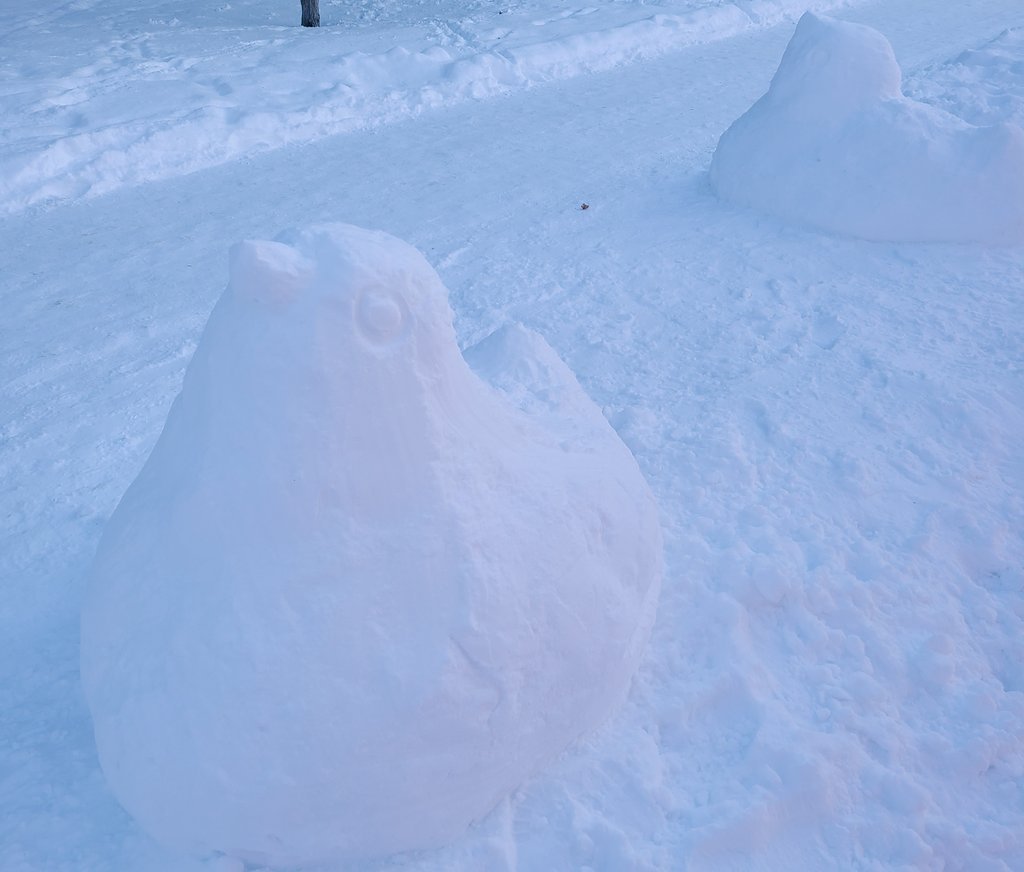 今日は二十四節気の小寒本格的な寒さの始まり❄武道では厳しい環境で精神力を鍛える寒稽古もありますが⛄縮こまらず澄んだ夜空に星を探... [小林豊子きもの学院【Twitter】]