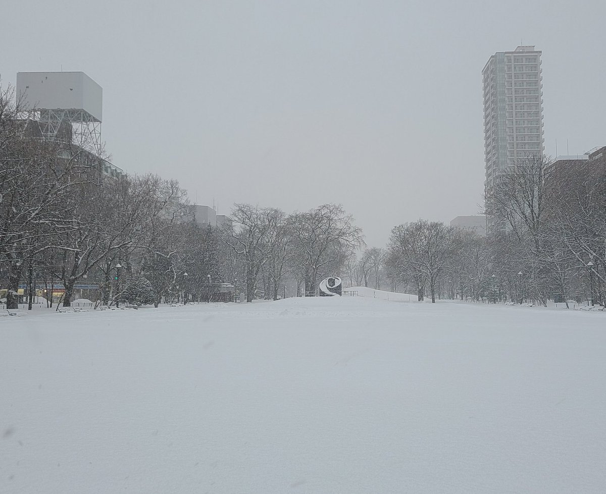 今日から２月❄旧暦の月名は如月(きさらぎ)✨一年で最も寒さを感じ衣を更に着重ねる月なので衣更着とも👘本部近くの札幌大通公園この時期... [小林豊子きもの学院【Twitter】]