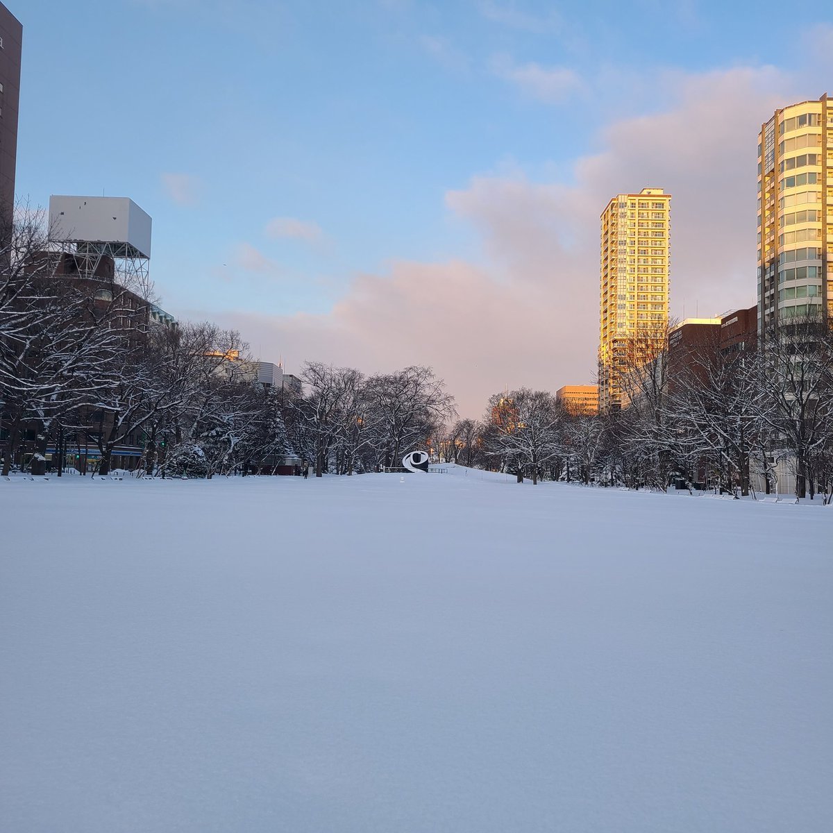 北海道の春は近づいたり離れたり🌷学院本部のある札幌大通公園はまたもや雪原に逆戻り⛄今日は雪晒しができそうな😆良いお天気です☀️春... [小林豊子きもの学院【Twitter】]