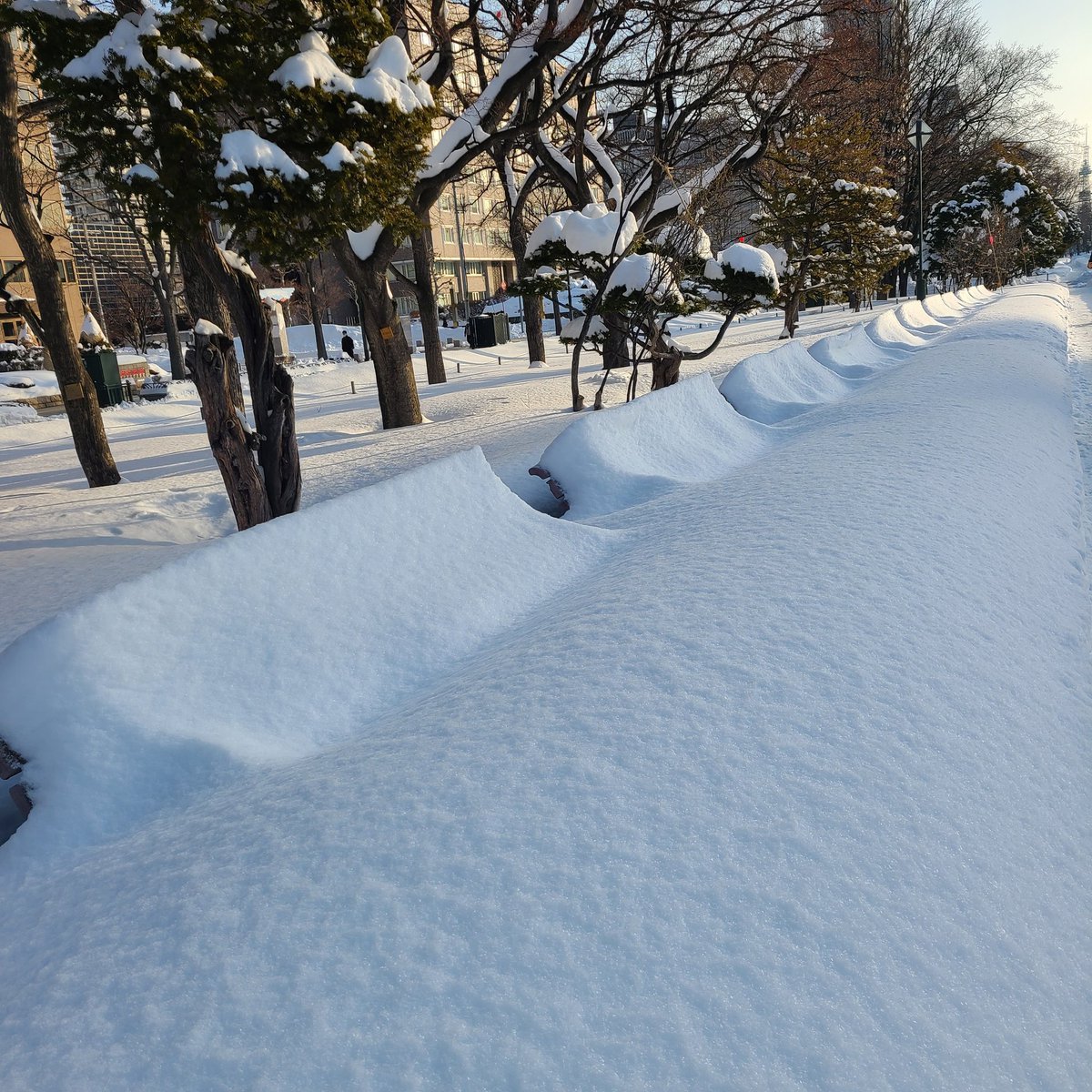 おはようございます☀️大雪から一転晴天の朝😊学院本部のある札幌大通公園はこんな様子😆ですがこのベンチに座れるようになるのはそんな... [小林豊子きもの学院【Twitter】]