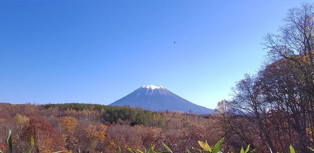 今日から11月💐旧暦の呼び名は「霜月(しもつき)」❄冷え込みも増し霜が降り始めます✨きものの上に着る羽織にショールをプラスしたりコー... [小林豊子きもの学院【Twitter】]