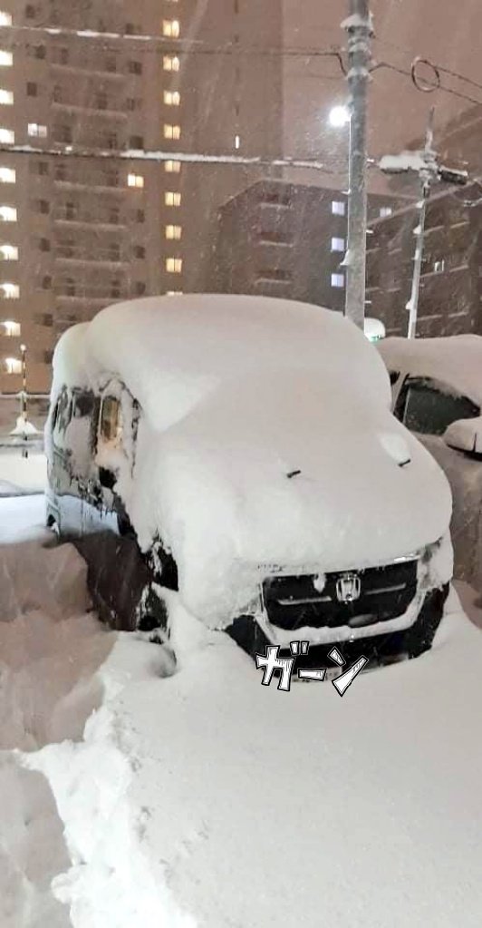 ワイパー上げたの逆効果…なんとか店主帰還するも、自宅駐車場もふっかふか…明日はどうなる？！#札幌#琴似#カレー #グルグルカリ... [グルグルカリー【Twitter】]