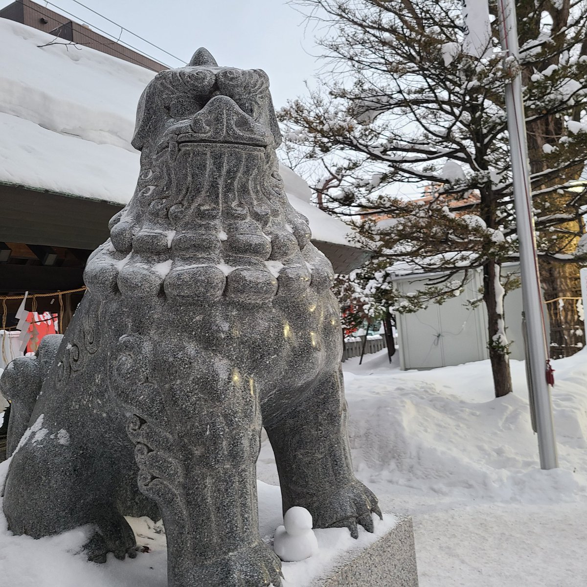 明日1月7日は人日の節供💐中国で元日から一日ずつ鶏·狗·羊·猪·牛·馬を順に占い大切に扱う風習があり7日目が人✨無病息災を願い七草(セリ.... [小林豊子きもの学院【Twitter】]