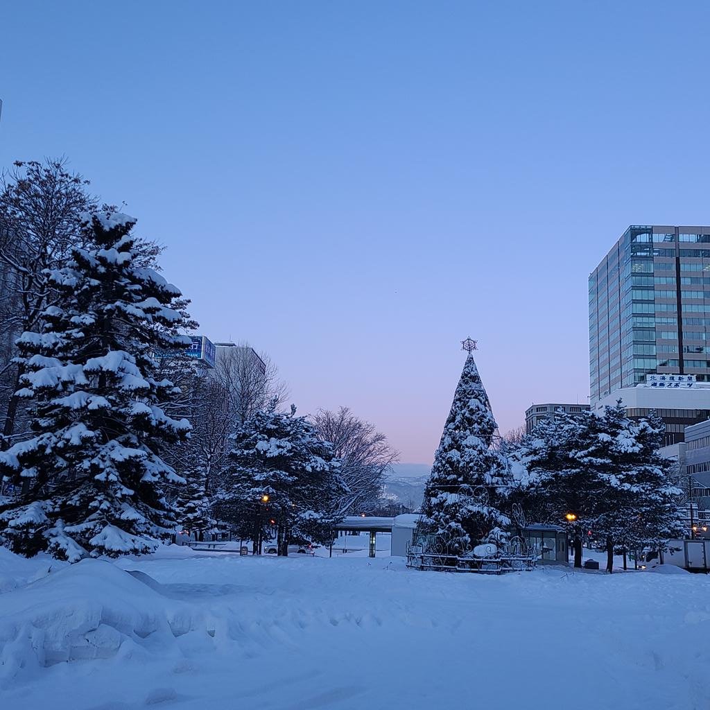 おはようございます☀️学院本部のある大通公園💐今朝はサラサラの雪がふんわり積もり冷えこんで❄西の空がきれいに色づいていました😊学... [小林豊子きもの学院【Twitter】]