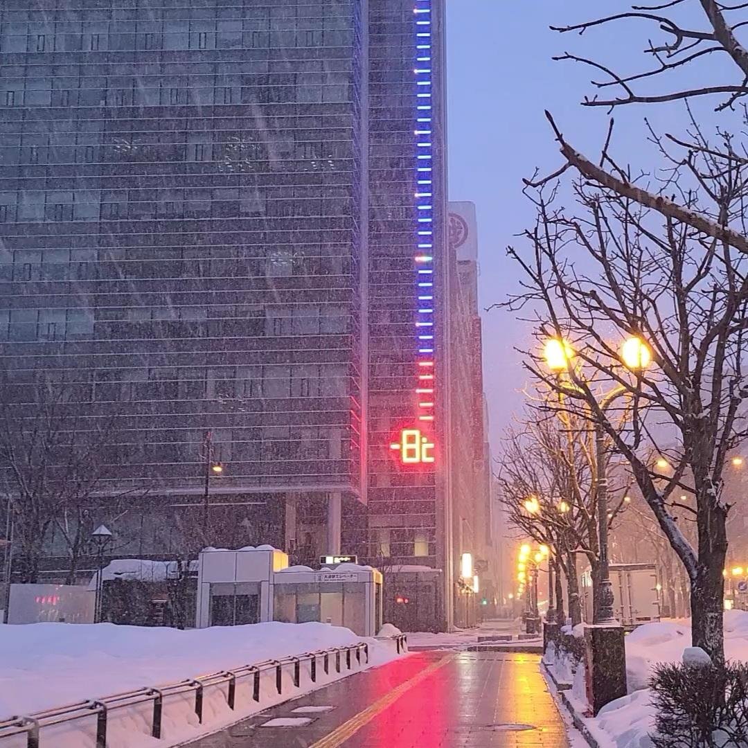 おはようございます⛄学院本部のある大通公園💐今朝は冷え込み吹雪いていますが❄一昨日模様替えをしていた事務所には春の彩り🌸桜のつぼ... [小林豊子きもの学院【Twitter】]