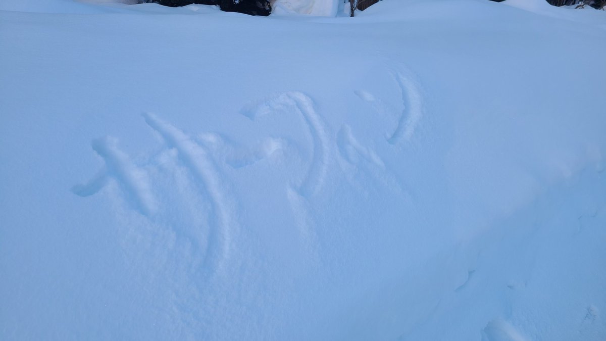 おはようございます☀️学院本部のある札幌大通公園で雪にしたためられた思いのたけを発見💡夏が恋しい…🏄まずはその前の春を待ちましょ... [小林豊子きもの学院【Twitter】]