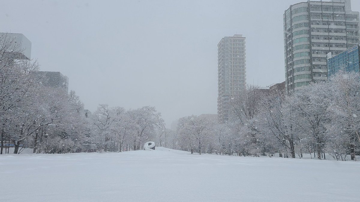 おはようございます😊学院本部のある札幌大通公園は雪の朝❄これからまた数日間 白におおわれそうです⛄学院はコチラhttps://t.co/k... [小林豊子きもの学院【Twitter】]