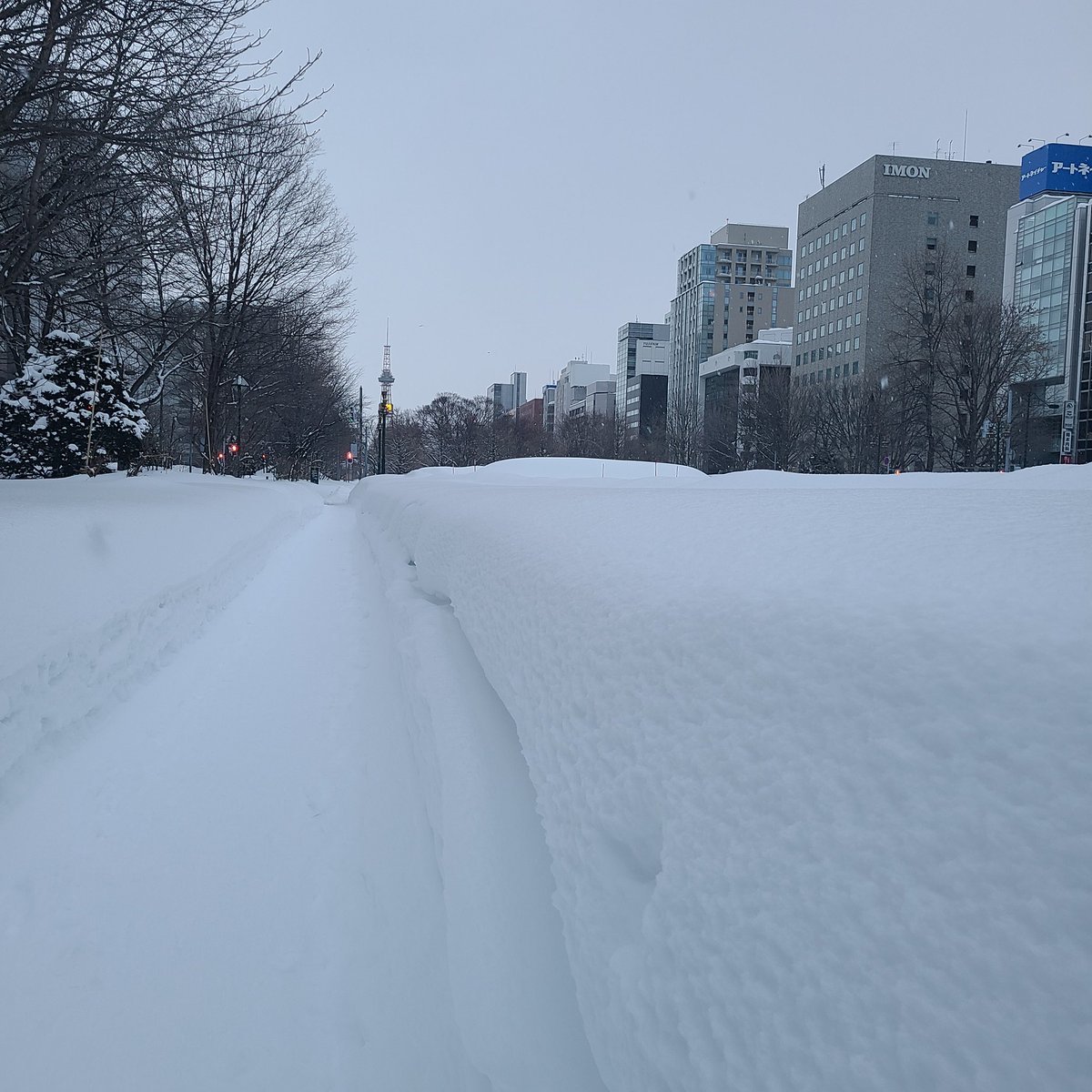 おはようございます☀️目線の高さまで積もってます❄こんな大通公園初めて見ました😲まだまだ交通状況が思わしくない地域も多いですね😌お... [小林豊子きもの学院【Twitter】]