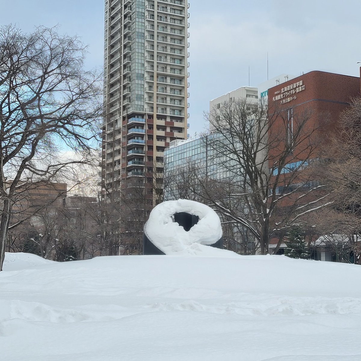 おはようございます❄今朝のブラックスライドマントラはホイップを載せたドーナツのよう🍩イサム·ノグチが札幌の雪の中で映えるよう黒い... [小林豊子きもの学院【Twitter】]