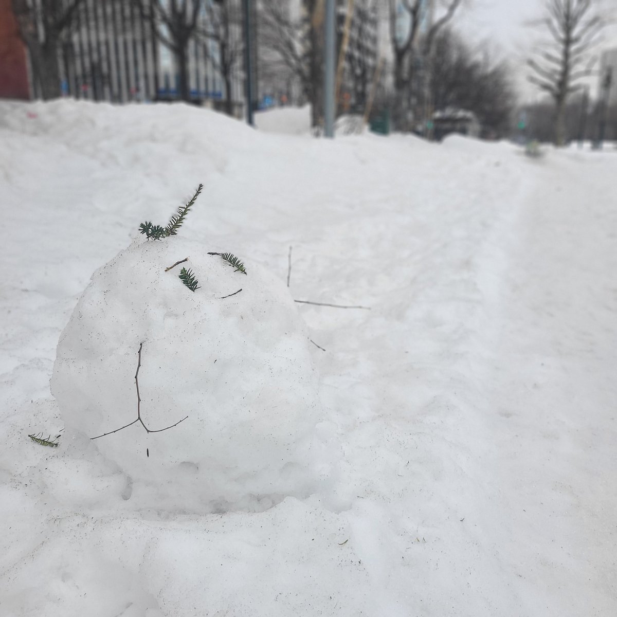 おはようございます😊学院本部のある大通公園⛲ゆるみ始めてザラメのようになった残雪でできた不思議なコと遭遇⛄刻々と雪解けが進み季節... [小林豊子きもの学院【Twitter】]