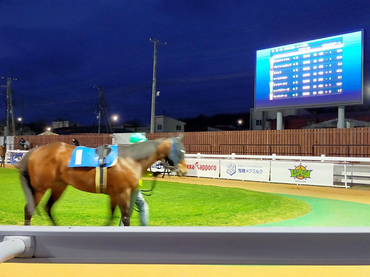 夜のお馬さんの運動会 #門別競馬場 [やさしい、とんこつ 麺 かまくら【Twitter】]