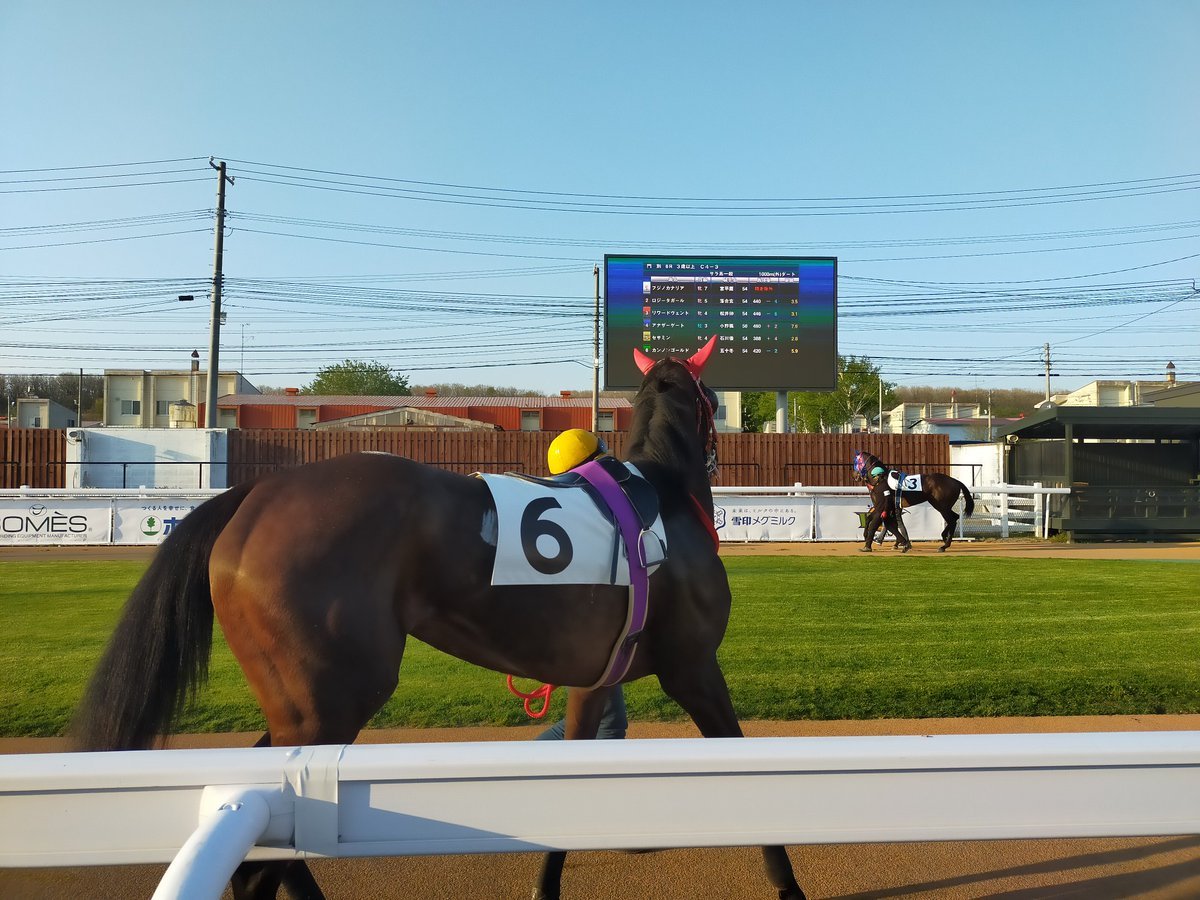 午後からはお馬さんの運動会 #門別競馬場 [やさしい、とんこつ 麺 かまくら【Twitter】]