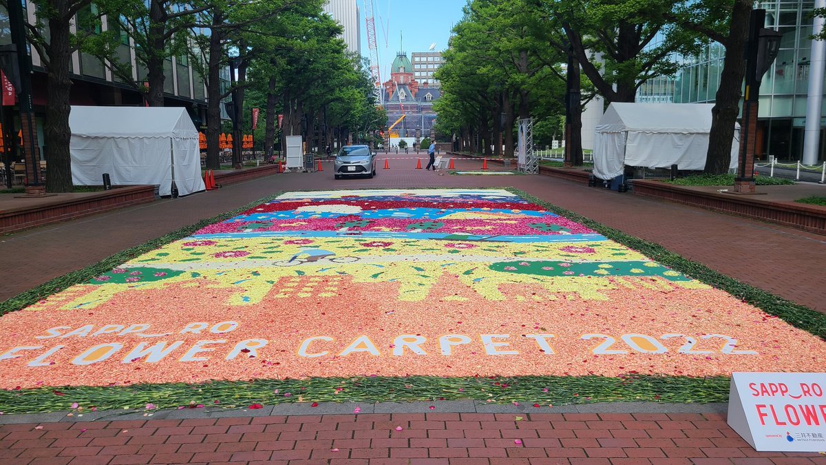 おはようございます☀️花フェスタ開催中の札幌🌼北海道庁赤れんが庁舎前広場では花びらや自然素材で作るフラワーカーペットがお目見え✨... [小林豊子きもの学院【Twitter】]