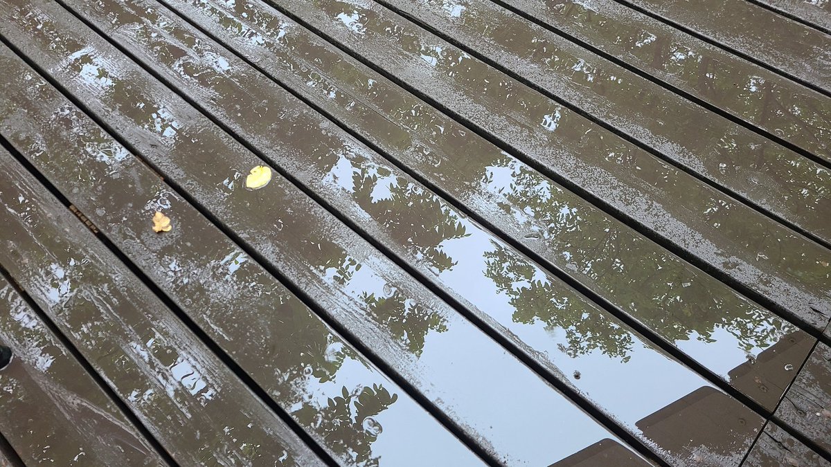 おはようございます☔北海道は昨日からの大雨で今日も災害に警戒が必要な地域もありそうです😌こんな日の和装には化繊の雨コートが頼り... [小林豊子きもの学院【Twitter】]