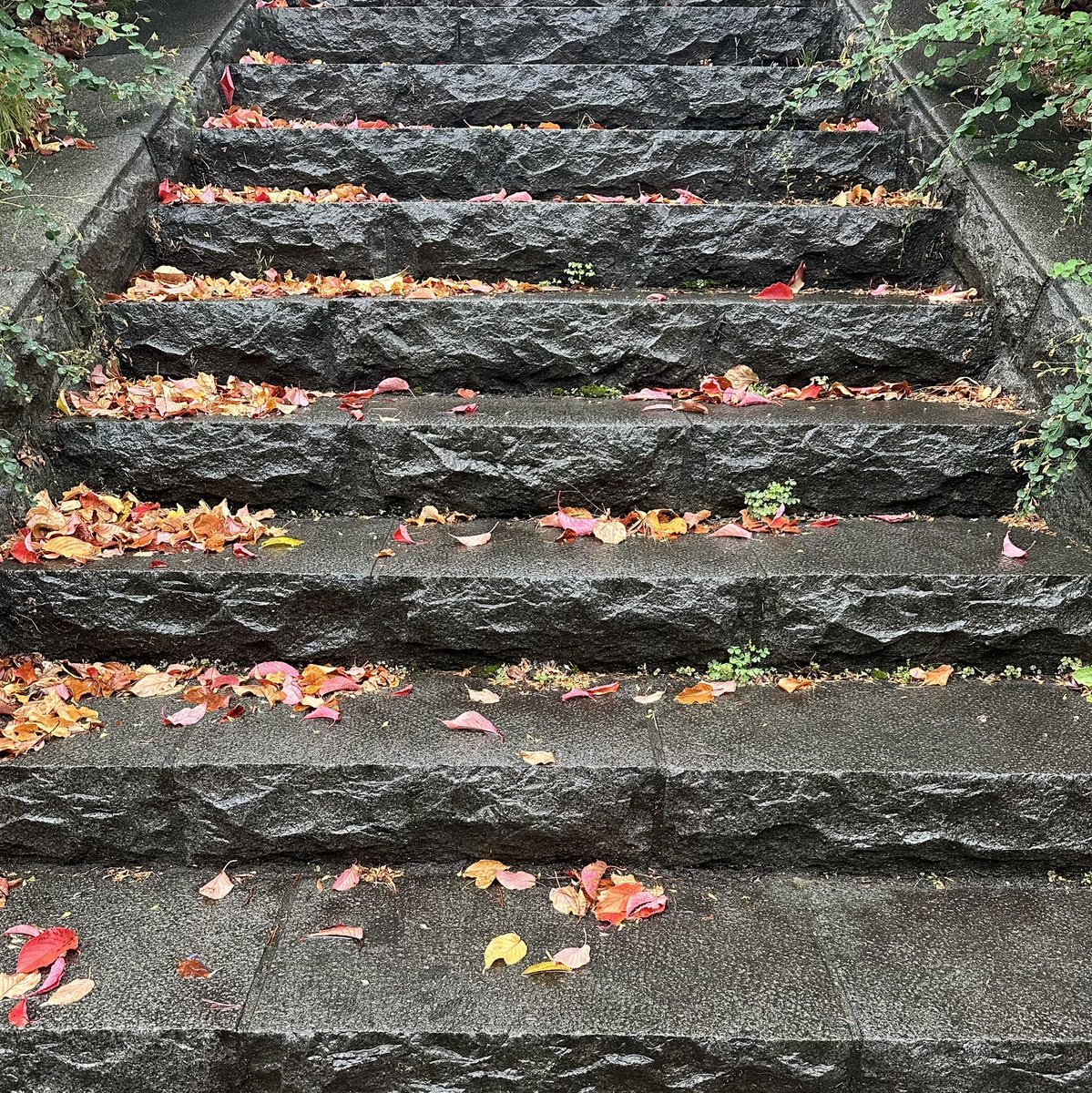 おはようございます☁️昨日の雨からイッキに冷え込みました今朝の札幌😌これからはひと雨ごとに秋が深まって行きますね🍁外出には羽織か... [小林豊子きもの学院【Twitter】]