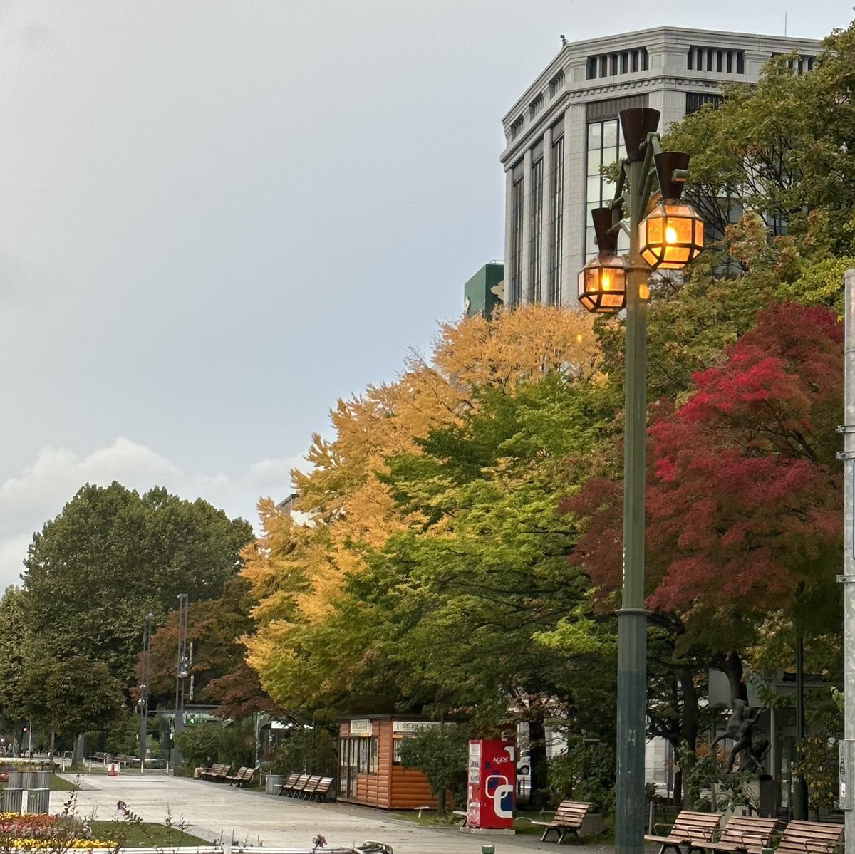 おはようございます☀️学院本部のある札幌大通公園⛲️色づく秋🍁変化が楽しい毎日✨きもの姿も映えますね🥰季節を楽しむきもの始めるhtt..... [小林豊子きもの学院【Twitter】]