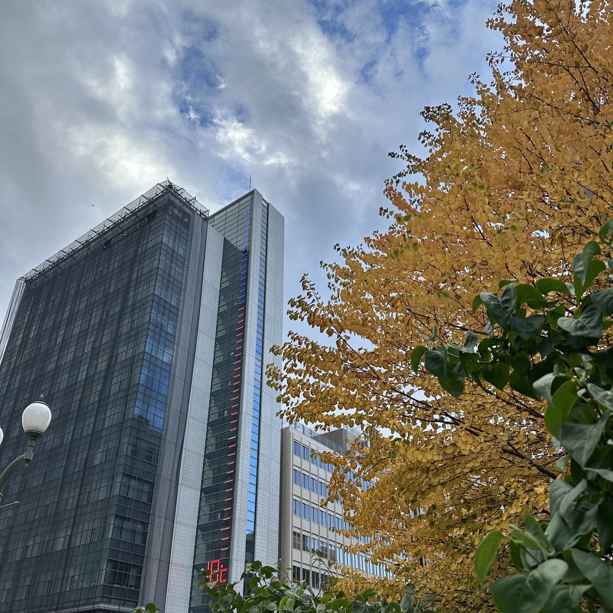 おはようございます🌥️学院本部のある札幌大通公園⛲️7時の気温が18℃🍁暖かですね☺️今週も良い一週間になりますように✨季節を楽しむき.... [小林豊子きもの学院【Twitter】]