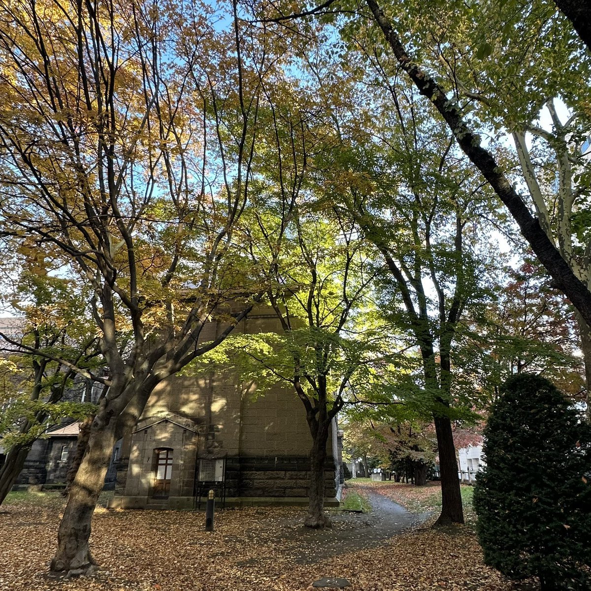 おはようございます☀️学院本部のある札幌大通公園⛲️秋の小道にさす日差しが爽やかな朝🍂今週も良い一週間となりますように😊季節を楽... [小林豊子きもの学院【Twitter】]