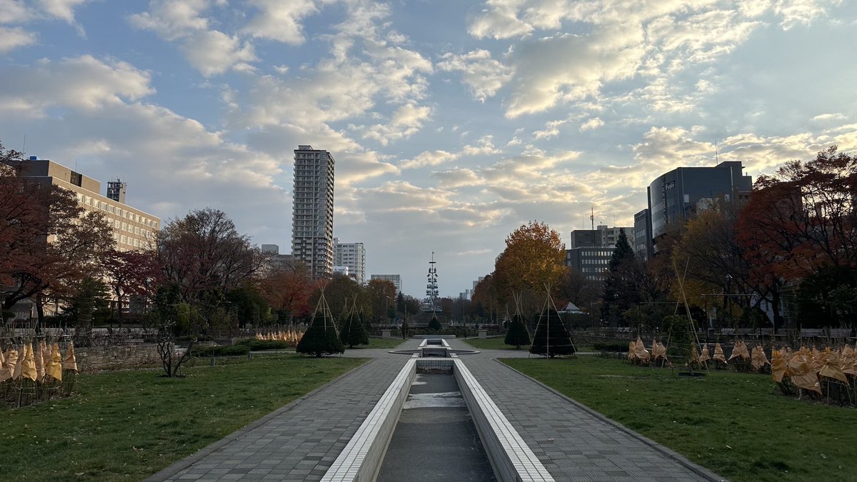 学院本部のある札幌大通公園⛲️冬囲いが始まりました😌つい先日まで花が残っていたバラとも来春までお別れ🥹夏のあれこれを振り返りつつ... [小林豊子きもの学院【Twitter】]