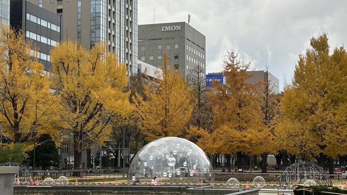 おはようございます☀️学院本部のある札幌大通公園⛲️ #ホワイトイルミネーション の準備が進んでいます☺️ライトが点灯したらどうなるの... [小林豊子きもの学院【Twitter】]