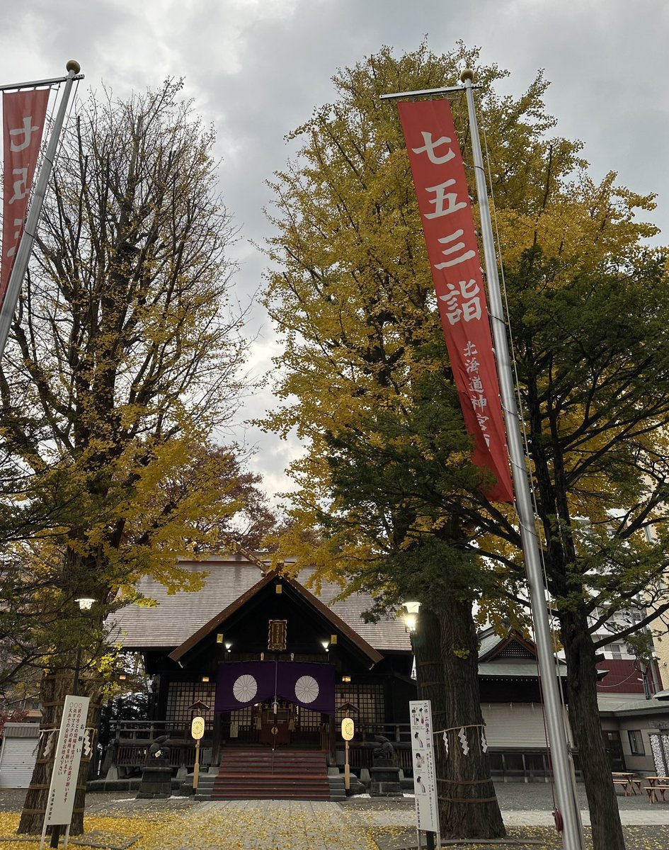 今日は七五三💐旧暦の二十八宿(天文学•占星術)で最吉日の鬼宿(きしゅく)に徳川家光が四男徳松(五代将軍綱吉)の健康祈願した日と言われ... [小林豊子きもの学院【Twitter】]