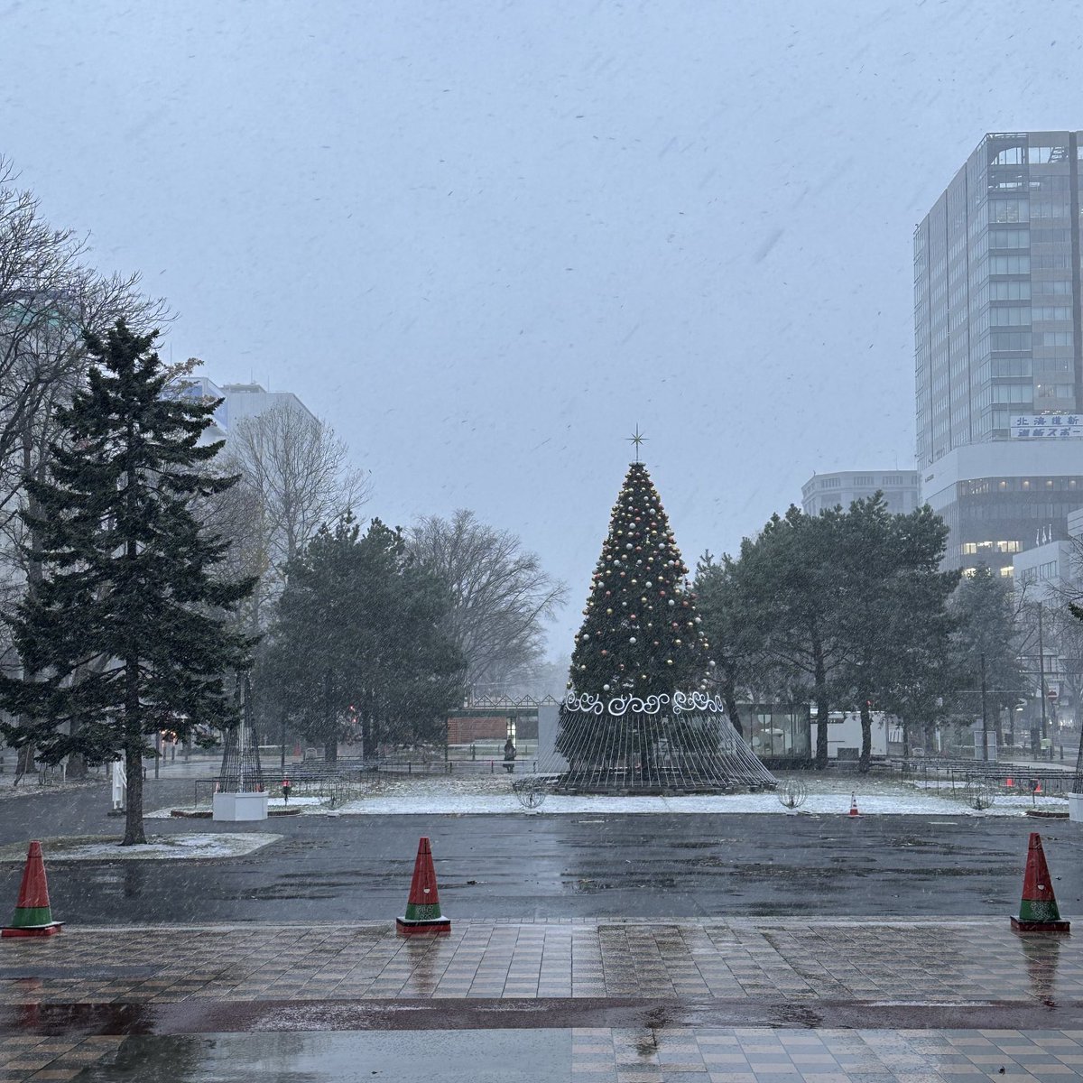 おはようございます☀️学院本部のある札幌大通公園⛲️本格的な雪の朝です❄️滑らないよう防寒草履で足元対策しっかりとお出かけください... [小林豊子きもの学院【Twitter】]