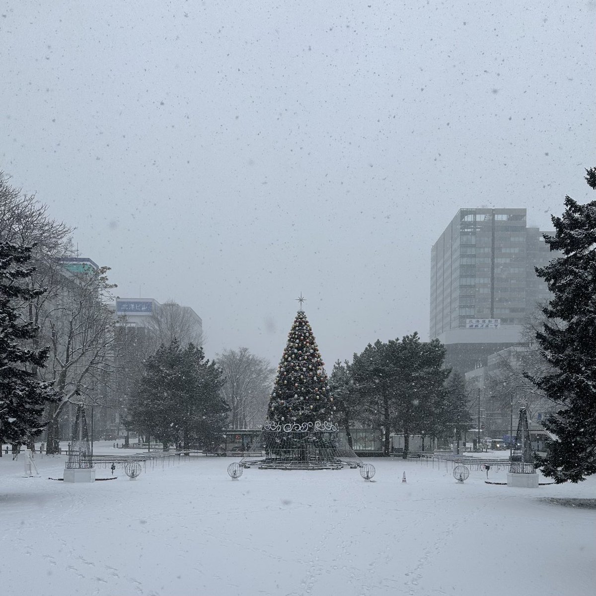 おはようございます🌥️学院本部近くの札幌大通公園⛲️早朝は湿った雪が降っていました❄️お出かけの際は履き替えの足袋をお忘れなく〜😊... [小林豊子きもの学院【Twitter】]