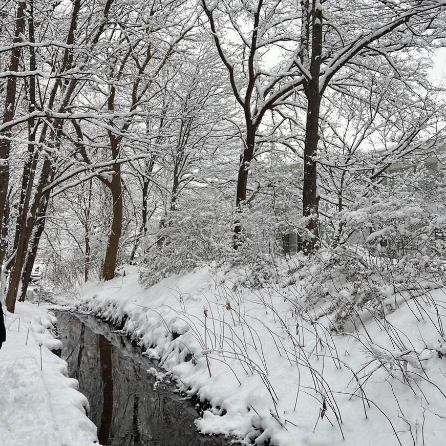 おはようございます🌨️この冬初めての根雪となった札幌☃️歩きにくさはあるものの一変した景色を楽しむ余裕を持って過ごす一週間にした... [小林豊子きもの学院【Twitter】]