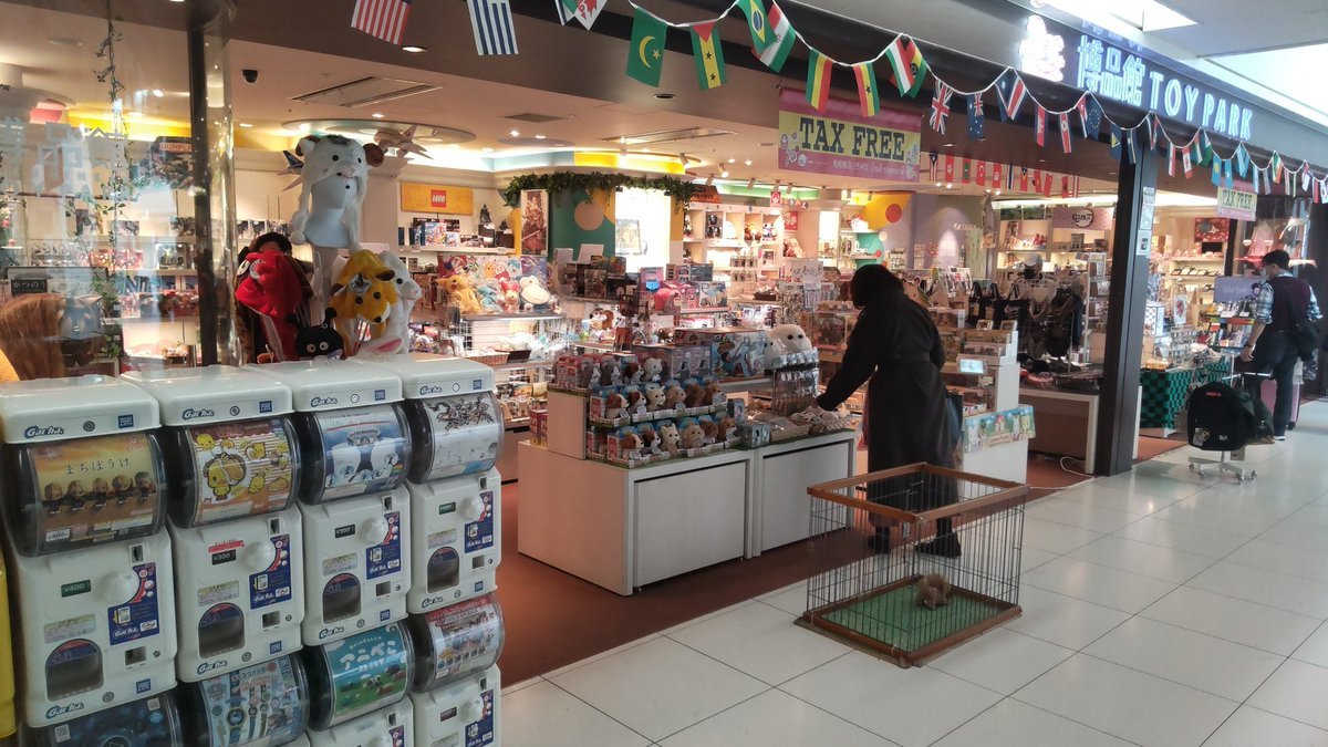 おもちゃやさん仲間の博品館TOY PARK千歳空港店！コロナに耐えて営業してます！国際線のすぐ近くなのでツライ時季が長かったと思... [おもちゃの平野【Twitter】]