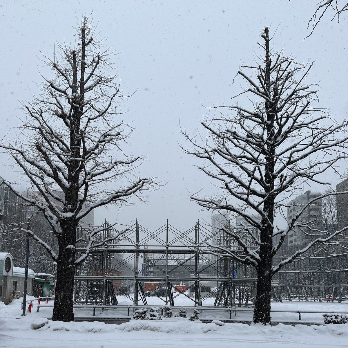 おはようございます🌨️学院本部近くの札幌大通公園⛲️3年ぶり開催さっぽろ雪まつりの雪像作りが進んでいます⛄️積雪の少ないこの冬の札幌... [小林豊子きもの学院【Twitter】]