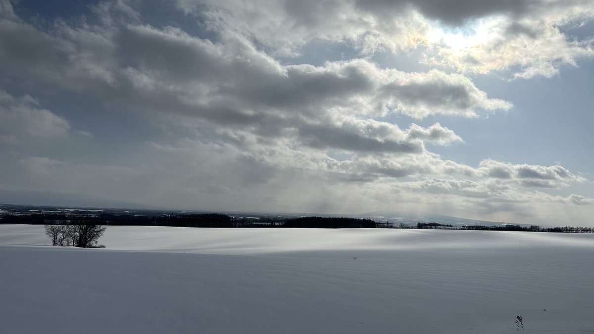 おはようございます☀️今週はじめはちょっとお天気が心配❄️💨お出掛けの際はお気をつけて😌お部屋の中では暖かくして🔥寒さに負けない一週.... [小林豊子きもの学院【Twitter】]