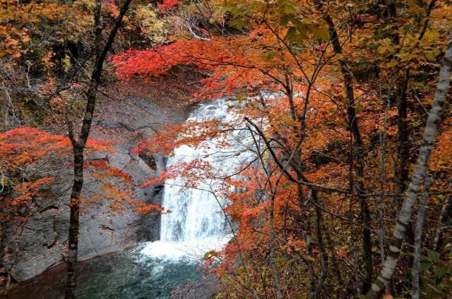 ～恵庭の秋へ旅しよう～恵庭駅発着周遊バス運行