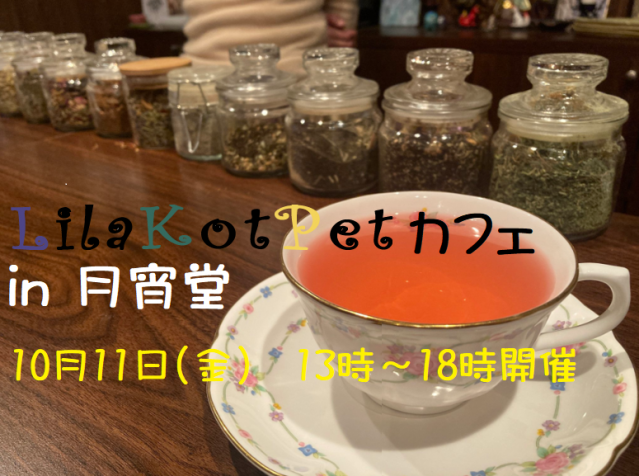 LilaKotPet(りらこっぺ)カフェ in 月宵堂