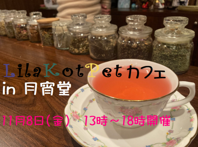 LilaKotPet(りらこっぺ)カフェ in 月宵堂