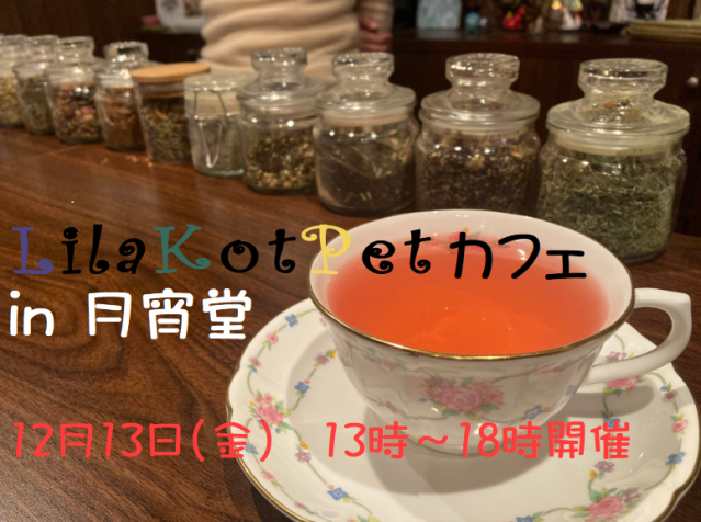 LilaKotPet(りらこっぺ)カフェ in 月宵堂