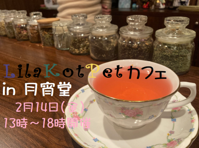 LilaKotPet(りらこっぺ)カフェ in 月宵堂